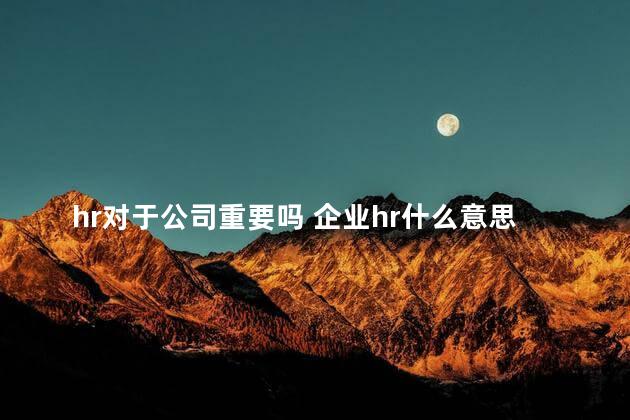 hr对于公司重要吗 企业hr什么意思